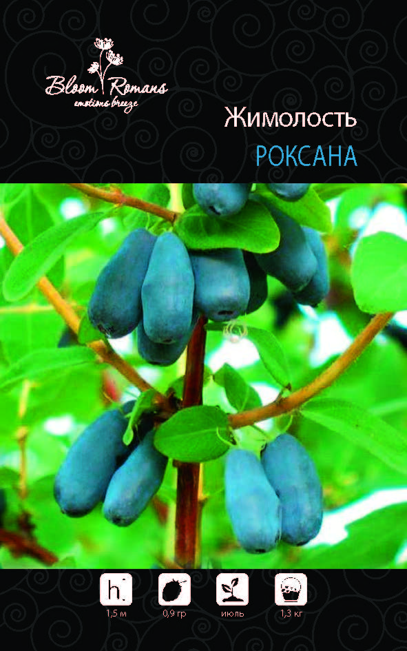 Жимолость камчатская Роксана